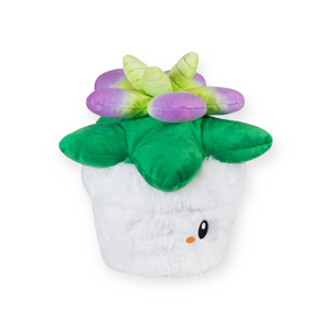 Squishable Mini Succulent