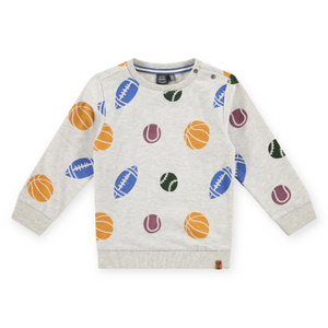 Babyface Boys l/s Printed Crewneck Sweatshirt ~ Sports/Grey