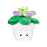 Squishable Mini Succulent