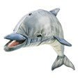 Folkmanis Whistling Dolphin Puppet