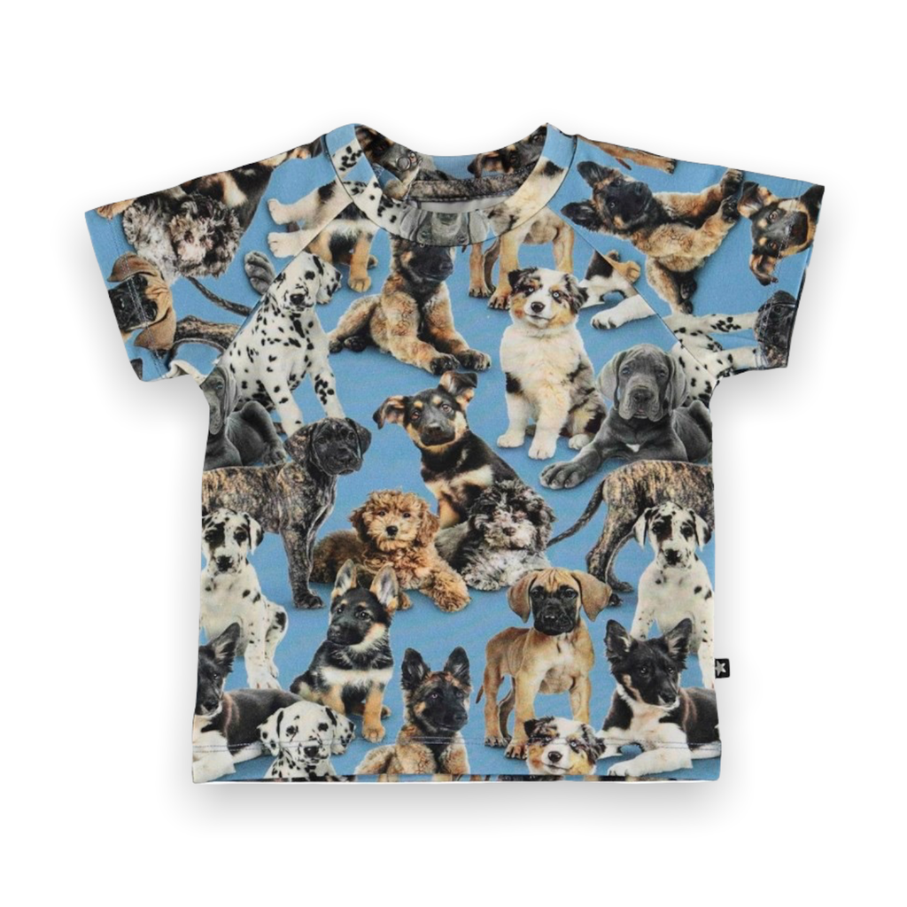 Molo Baby Boy Emmett s/s Tee Shirt ~ Pups