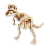 Toysmith Dig a Dinosaur Skeleton ~ Series 2