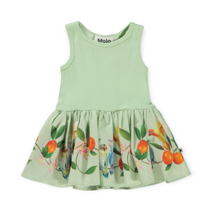 Molo Cordelia Dress ~ Sweet Parakeet