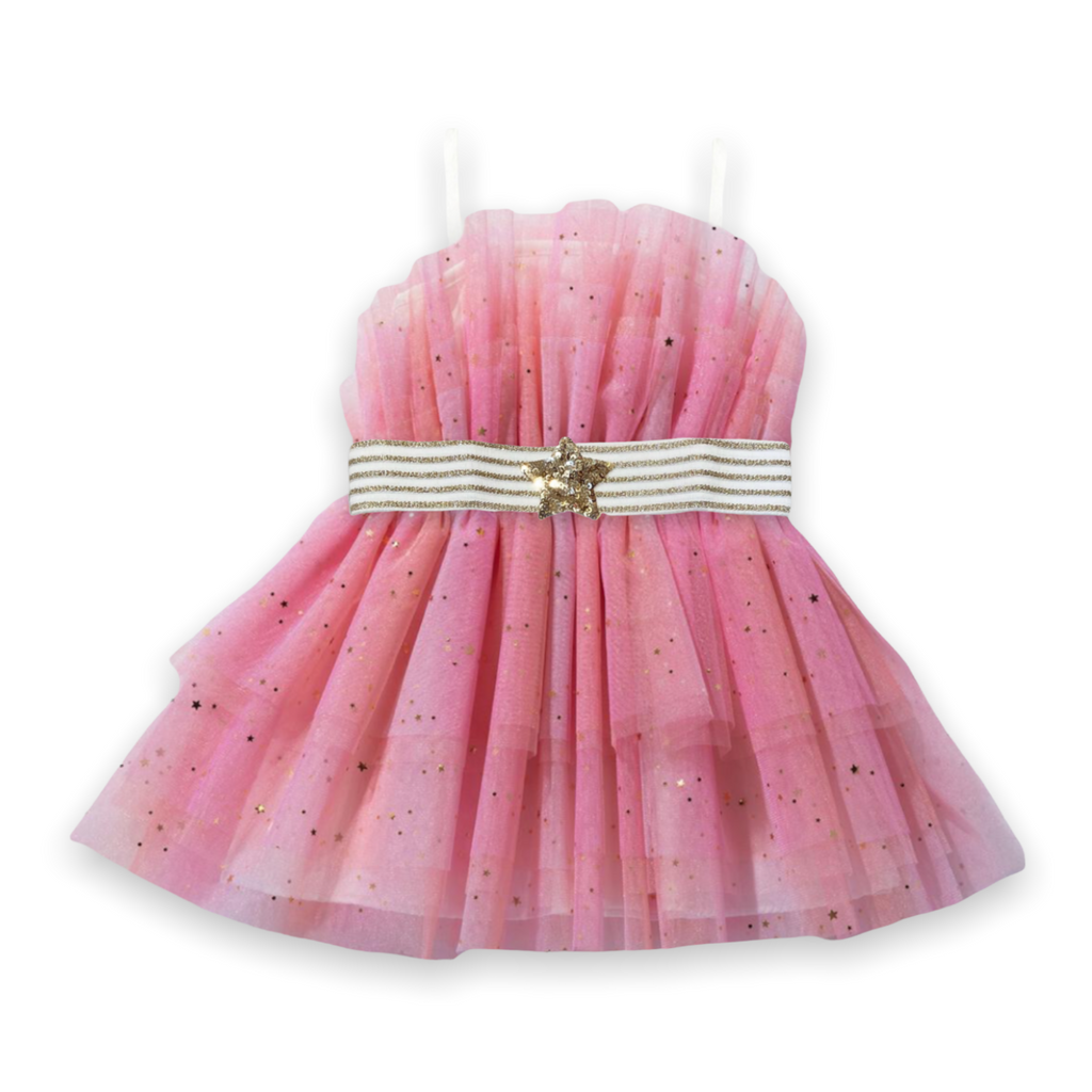 Petite Hailey Love Sparkle Belted Tutu Dress ~ Pink