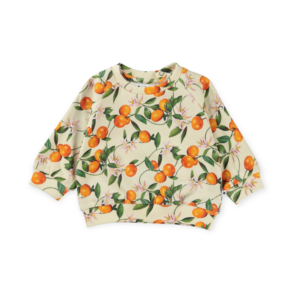 Molo Baby Disc Sweatshirt & Simeon Sweatpants ~ Mini Mandarins